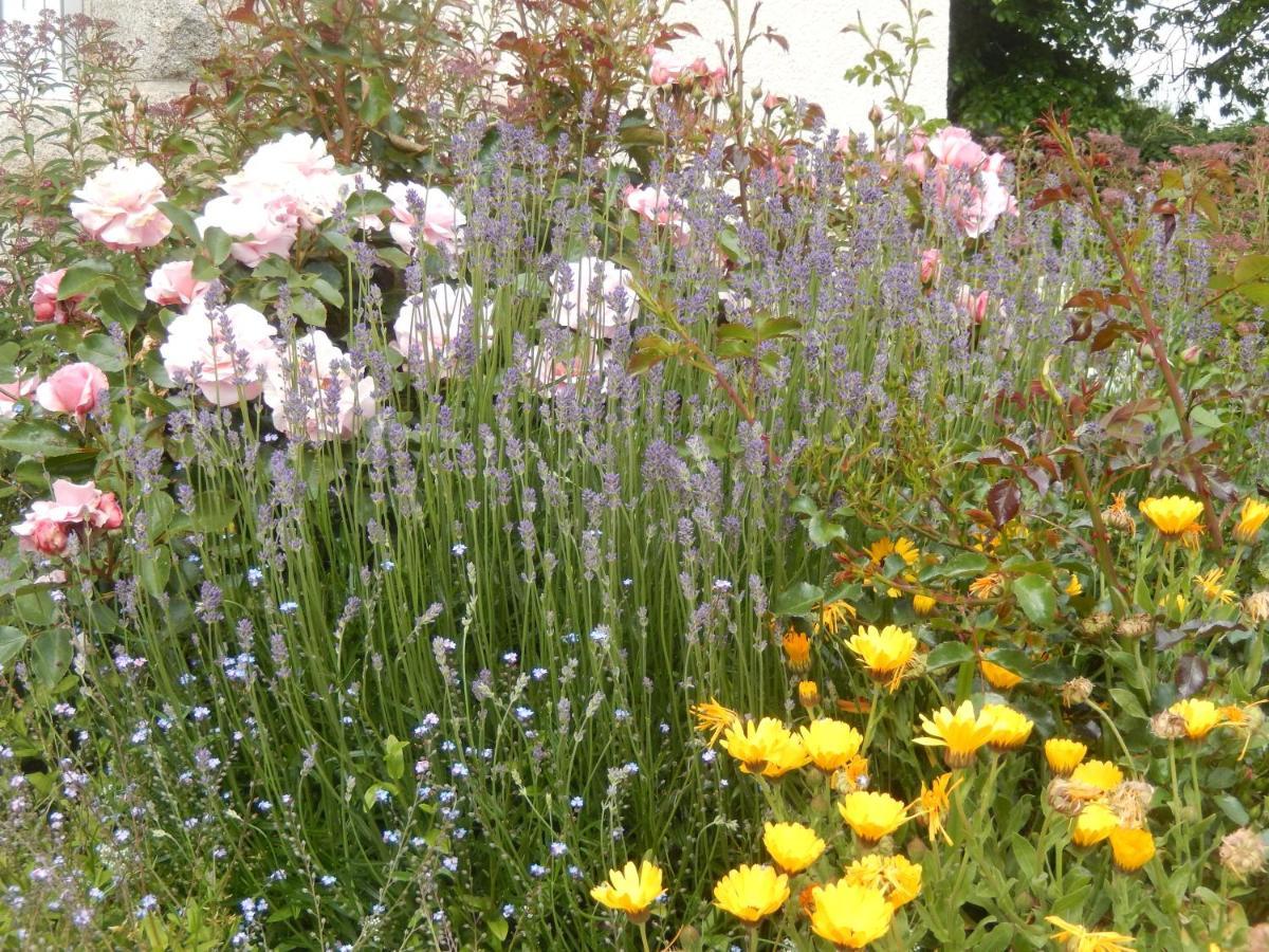 Le Tregonnec, Pres De Morlaix, Roscoff Bed & Breakfast Plouvorn ภายนอก รูปภาพ