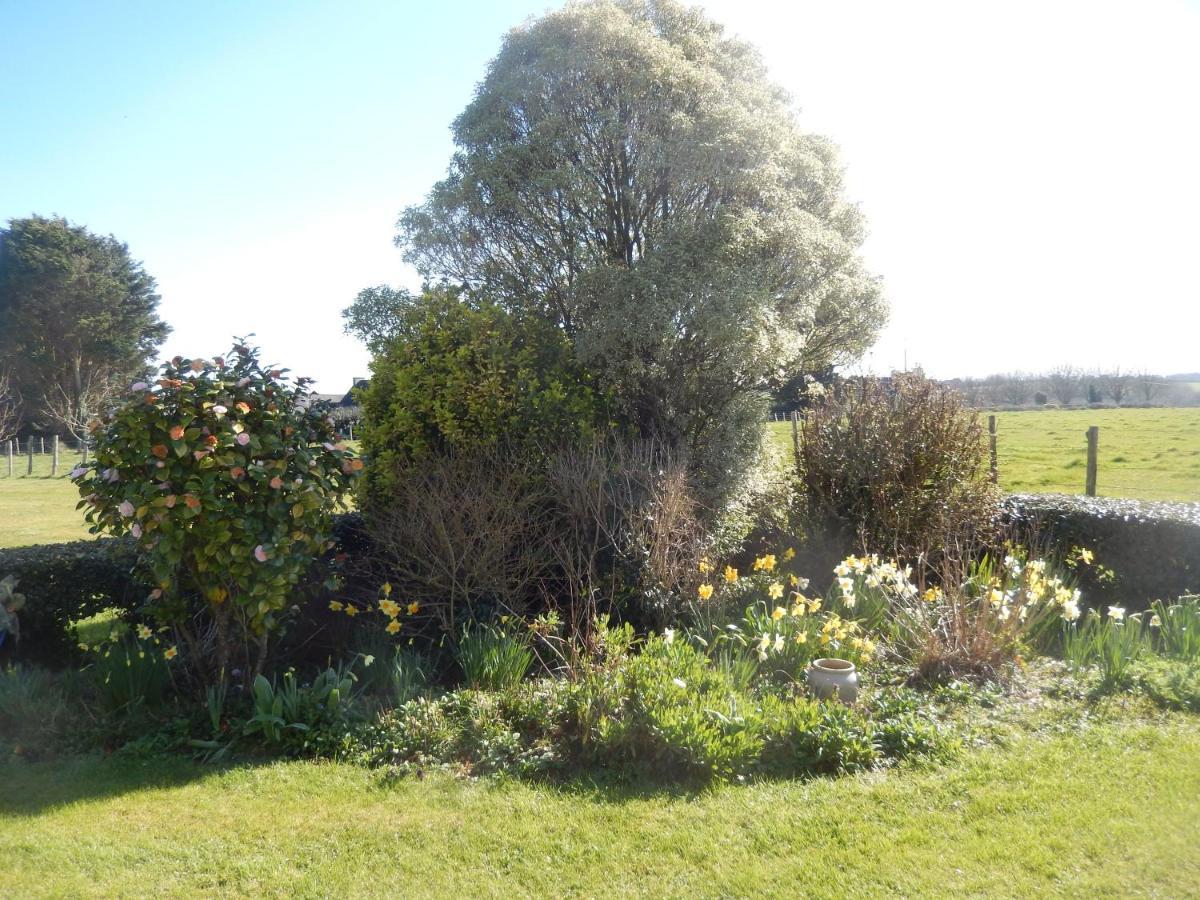 Le Tregonnec, Pres De Morlaix, Roscoff Bed & Breakfast Plouvorn ภายนอก รูปภาพ