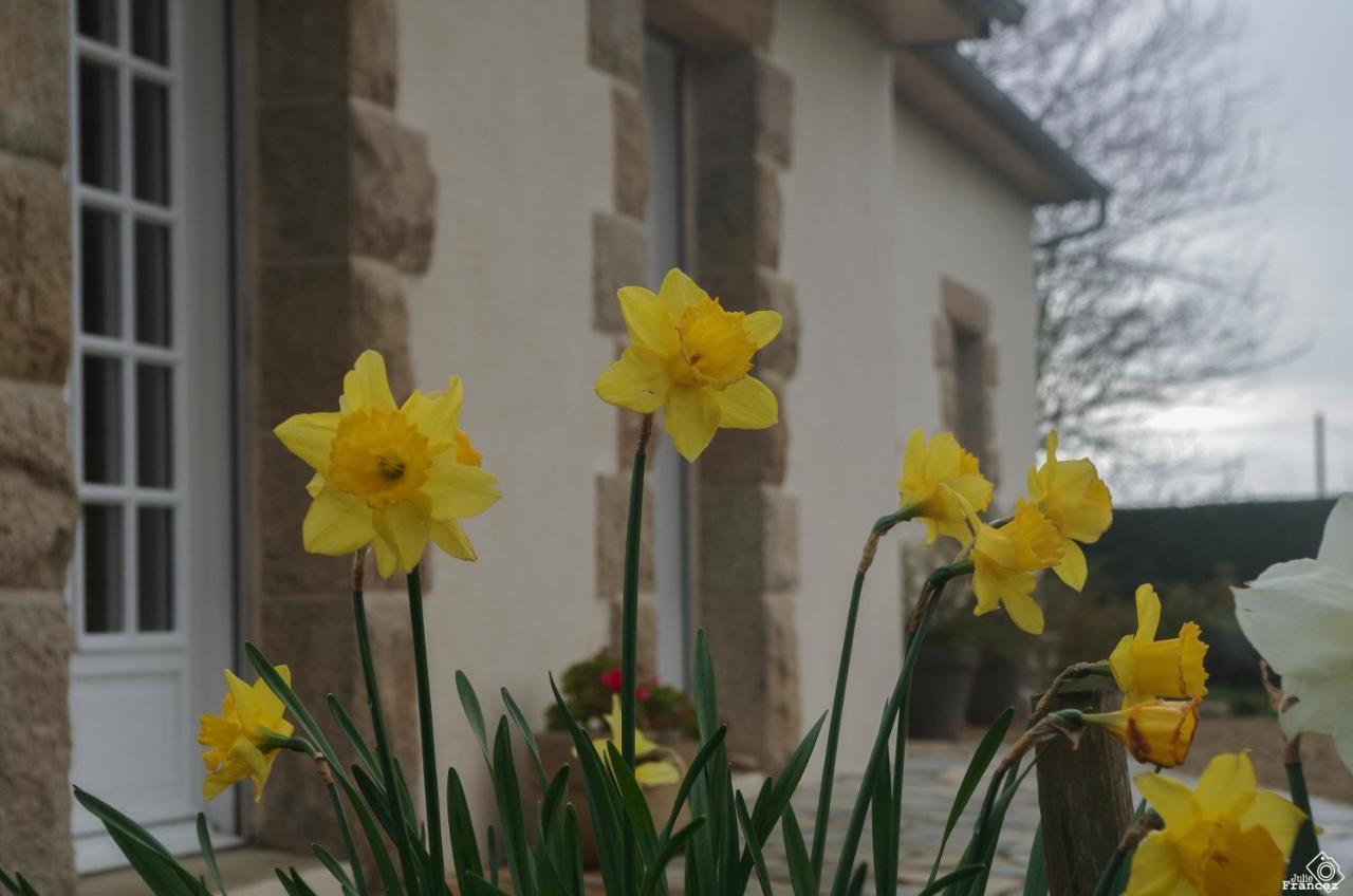 Le Tregonnec, Pres De Morlaix, Roscoff Bed & Breakfast Plouvorn ภายนอก รูปภาพ