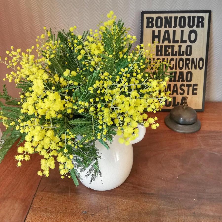 Le Tregonnec, Pres De Morlaix, Roscoff Bed & Breakfast Plouvorn ภายนอก รูปภาพ